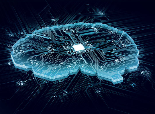 Schulungen & Seminare