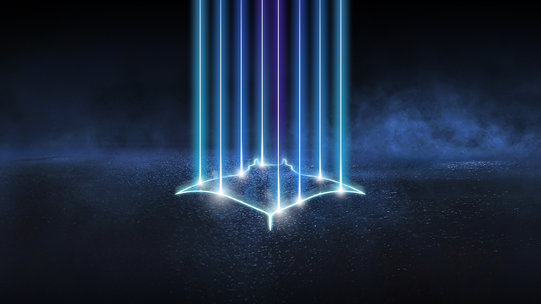 Flying Ray Flying Ray